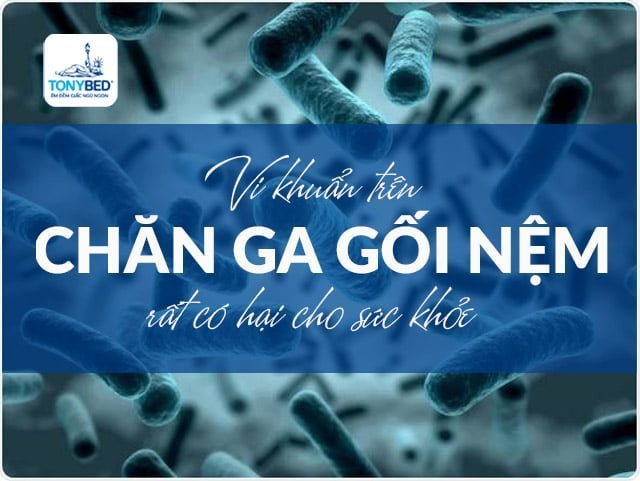 Vi khuẩn trên chăn ga gối nệm rất có hại cho sức khỏe