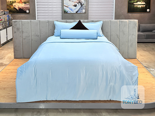 Uu-diem-ga-trai-giuong-modal-trong-mua-dong